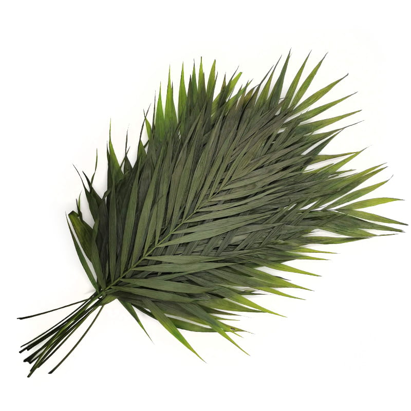 Preserved Palm - Chico Palm - bouquet
