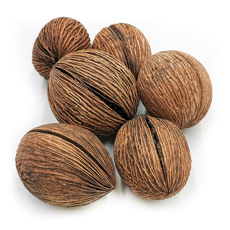 Mintola Ball - (Natural) - Exotic Dried - Pack of 6