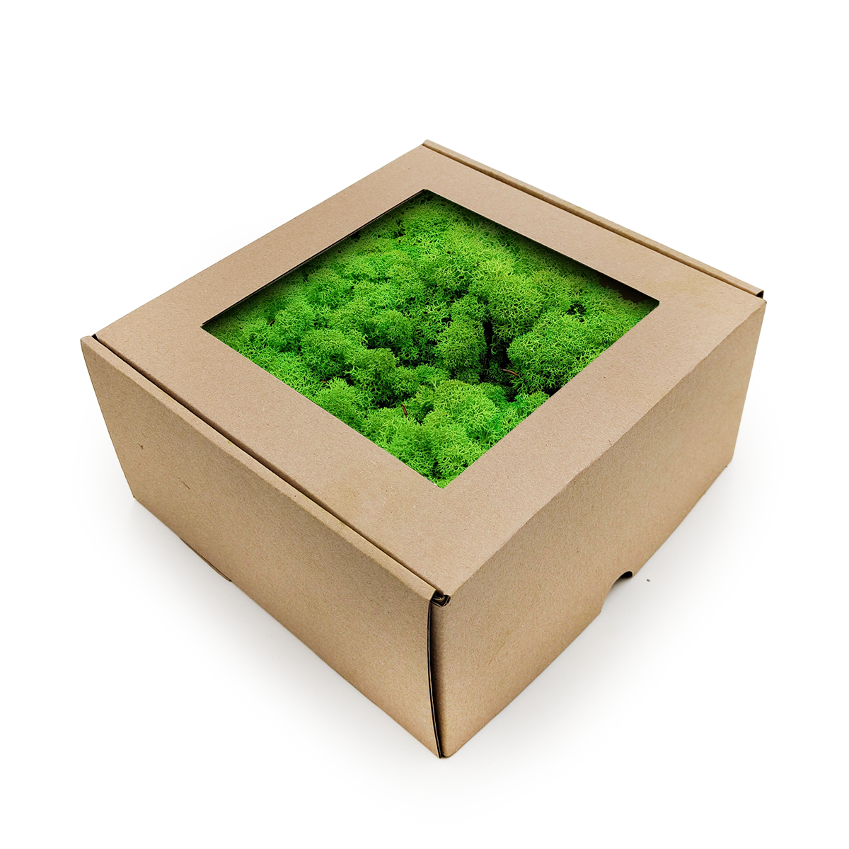 Reindeer Moss - Norwegian-  Grass Green 250g NET
