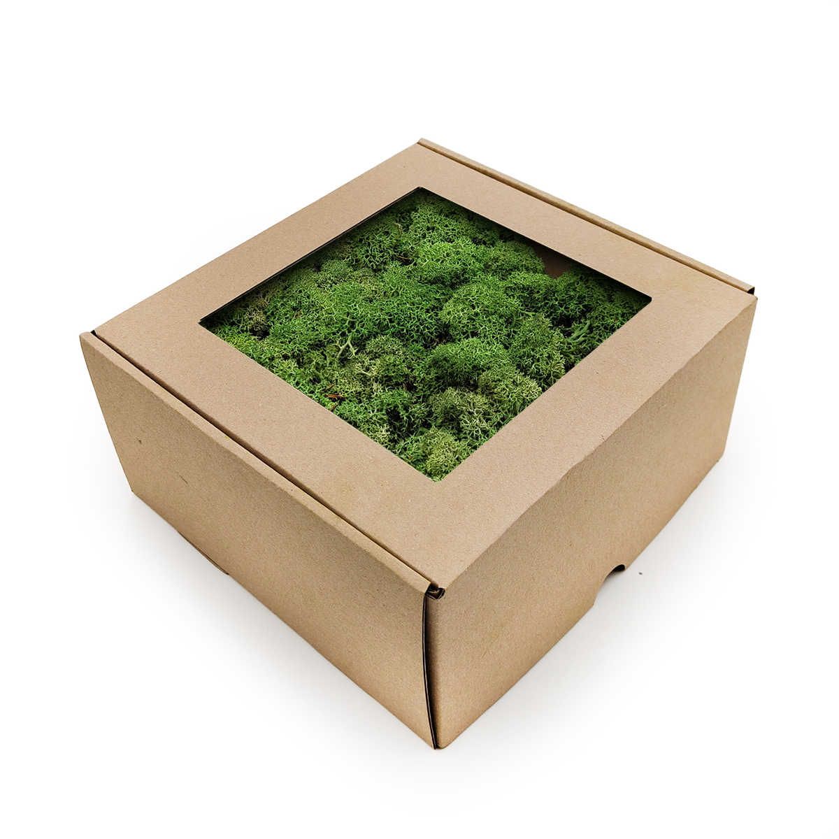 Reindeer Moss - Norwegian-  Bottle Green 50g NET