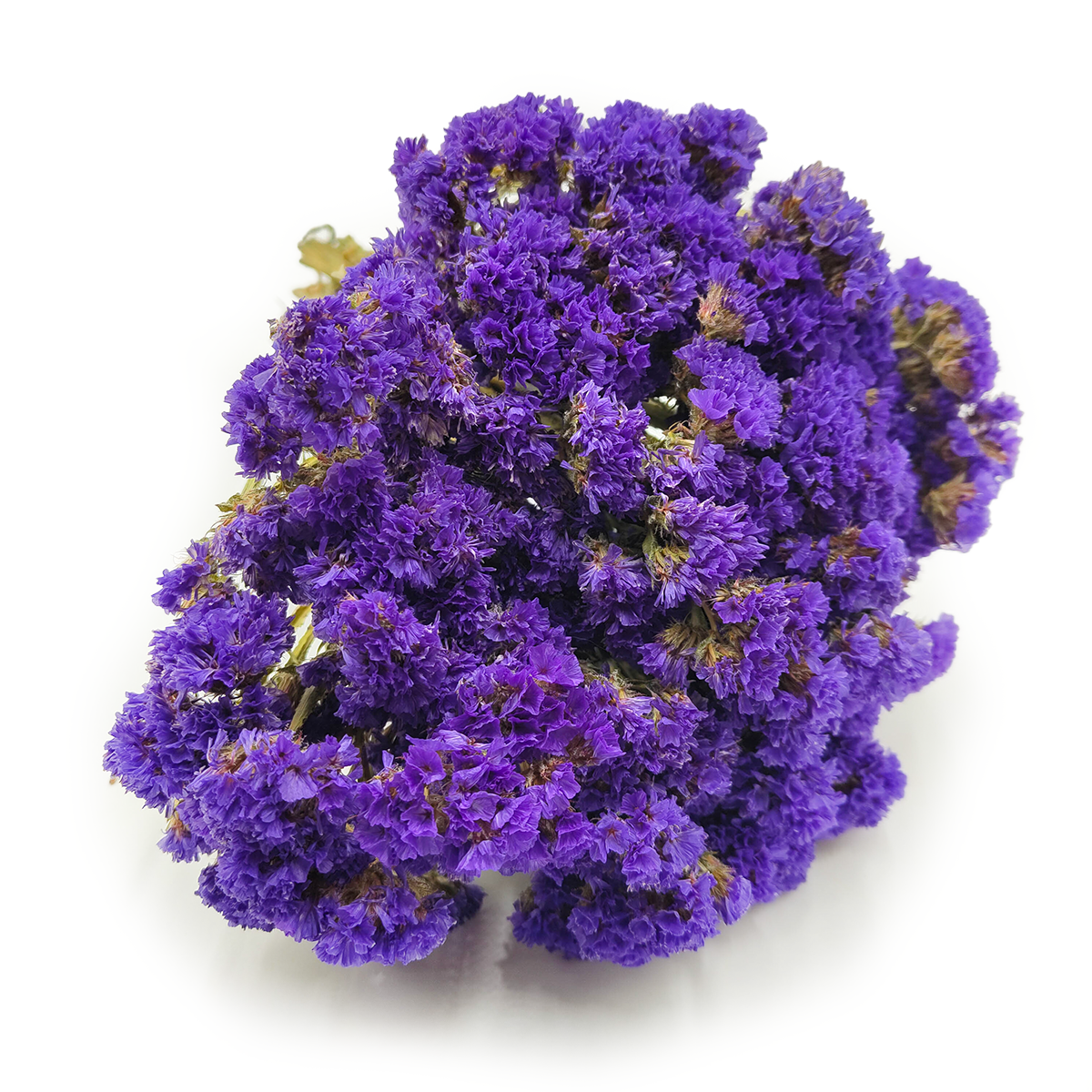 Statice Limonium sinuatum - Purple