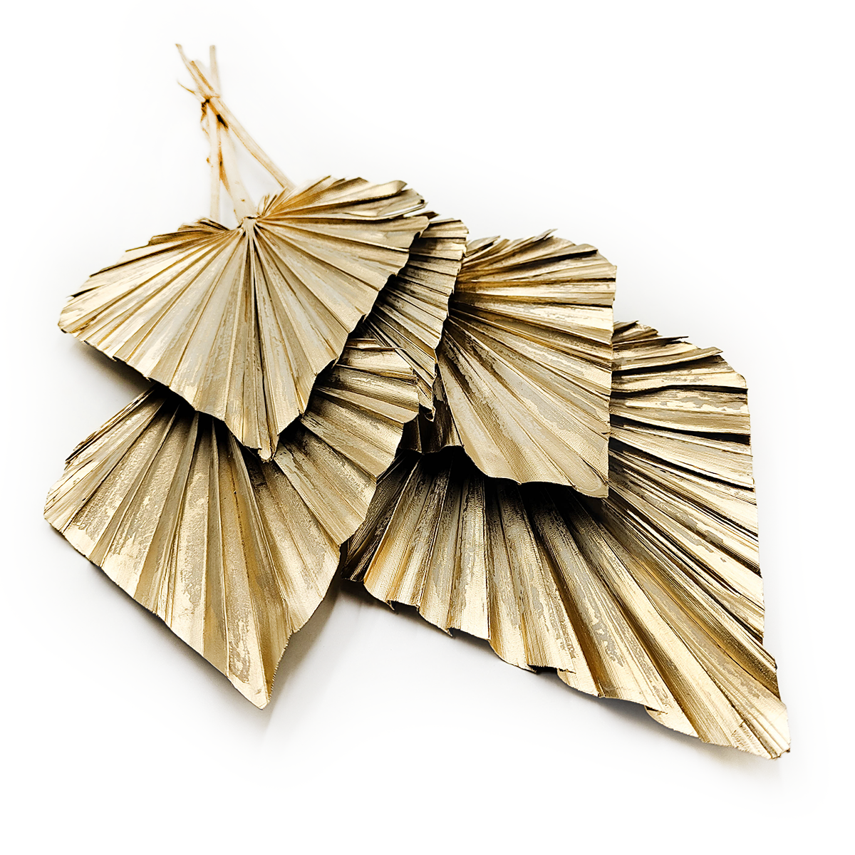 Palm Spear - Gold