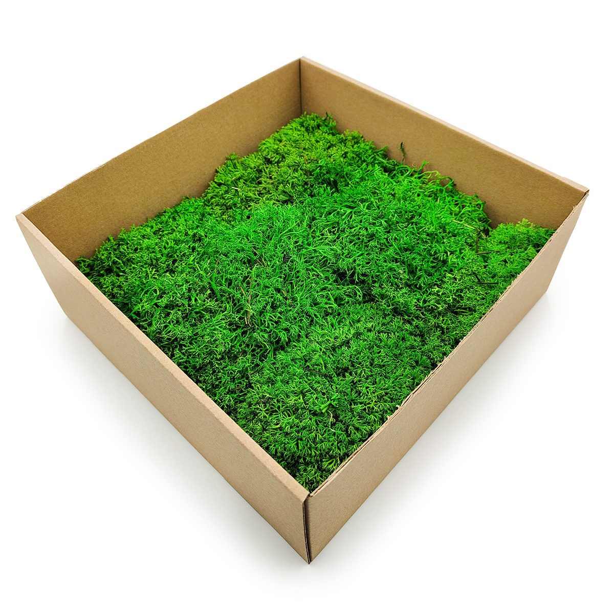 Reindeer Moss - Ball - Light green 25x25cm