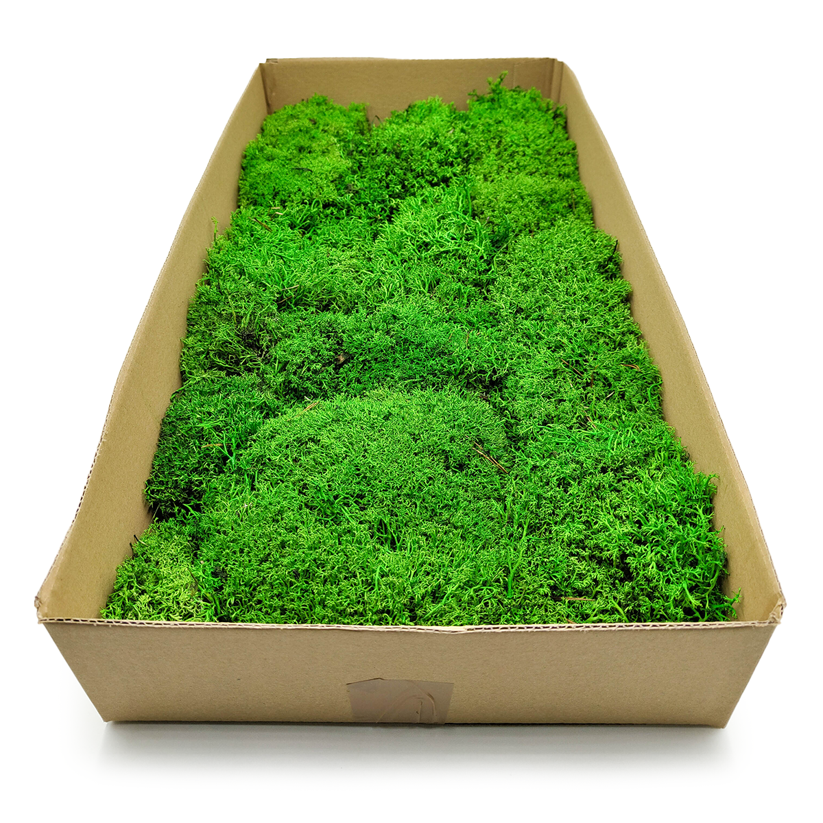 Reindeer Moss - Ball - Light green 60x30cm