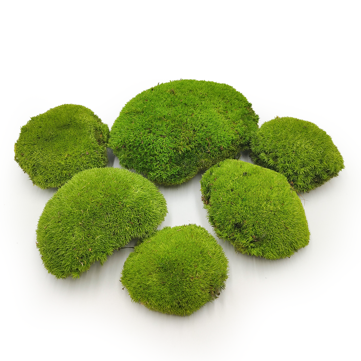 Ball Moss – Light Green Natural – 0.1m² (40x25cm) – Sweden