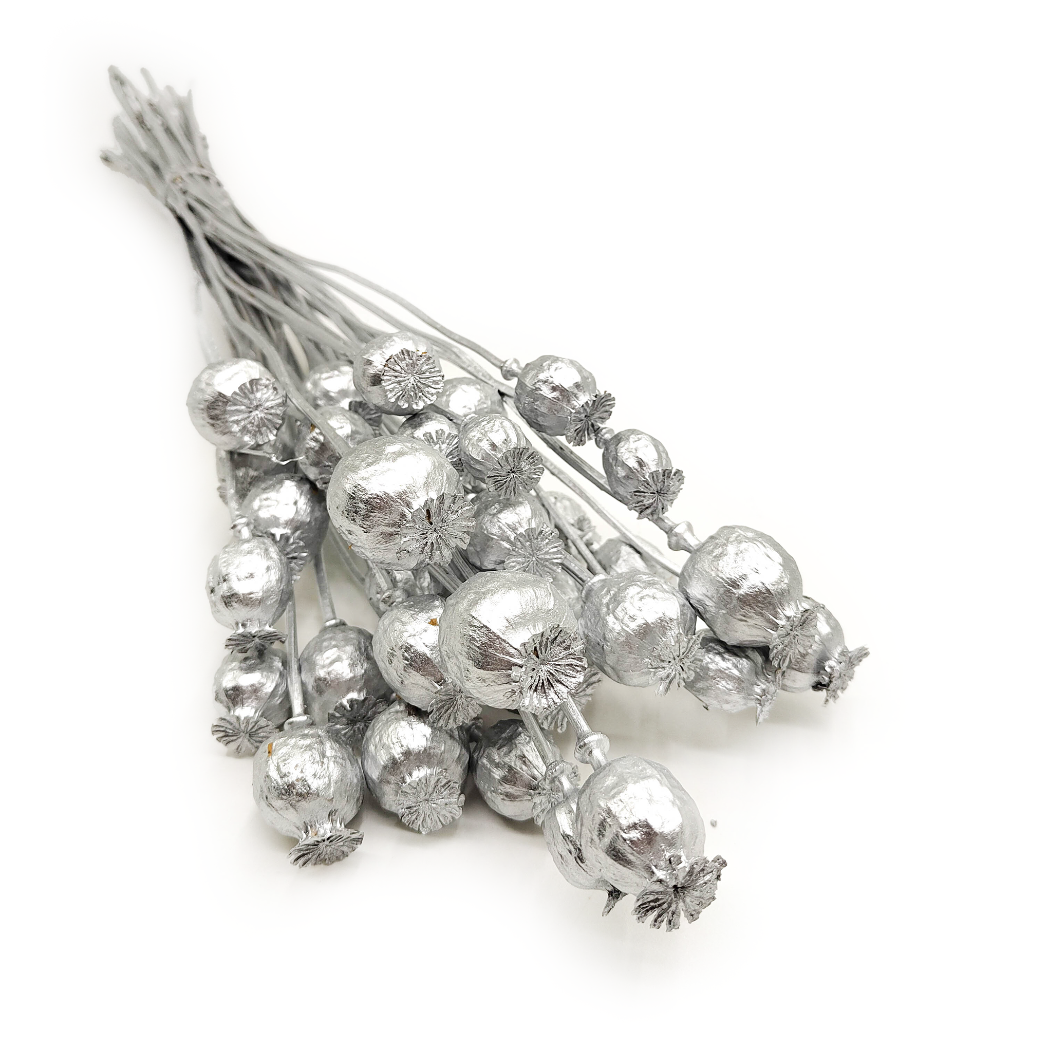 Dried Papaver - Poppy Pods - Silver