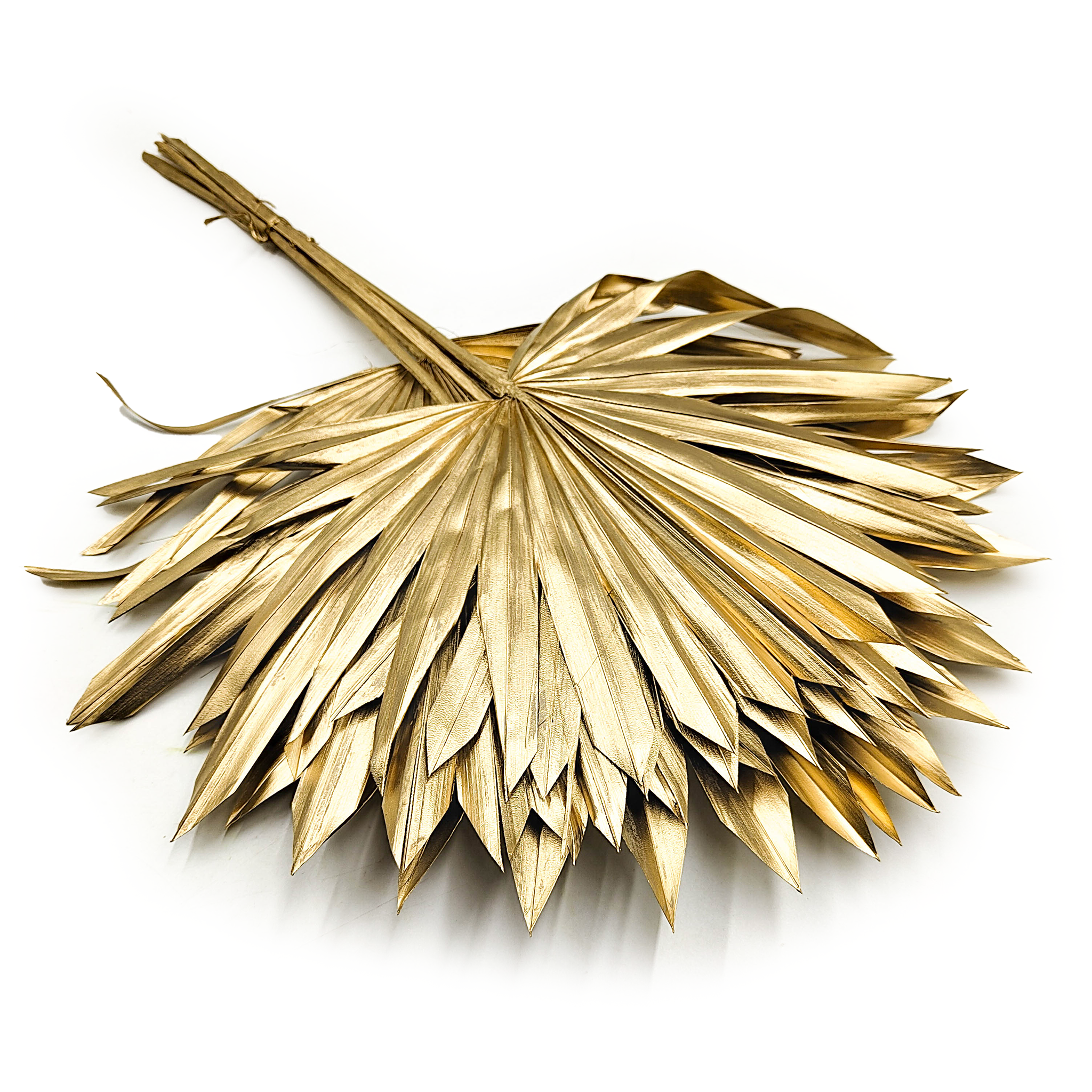 Palm Sun - Gold