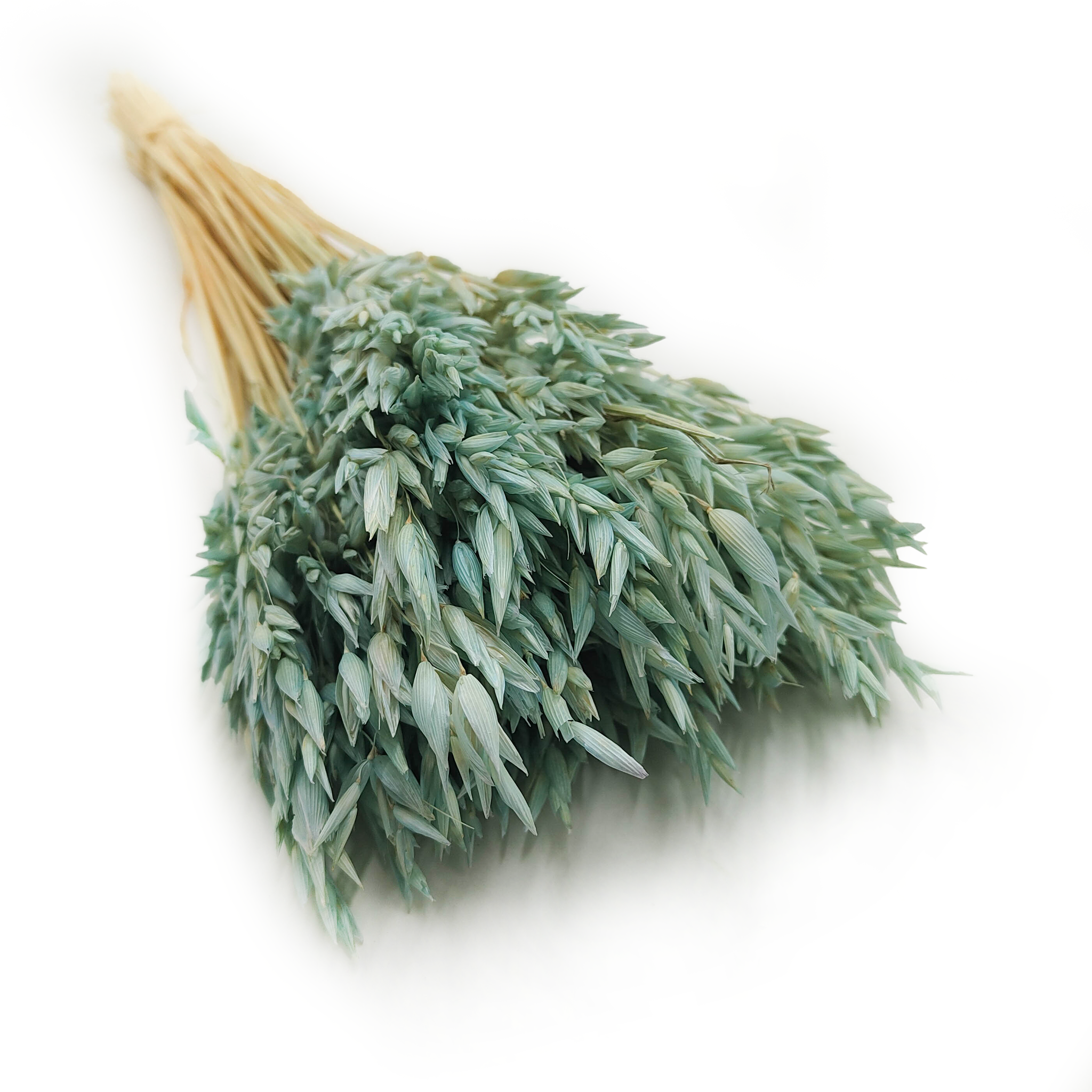 Dried Oats - Mint
