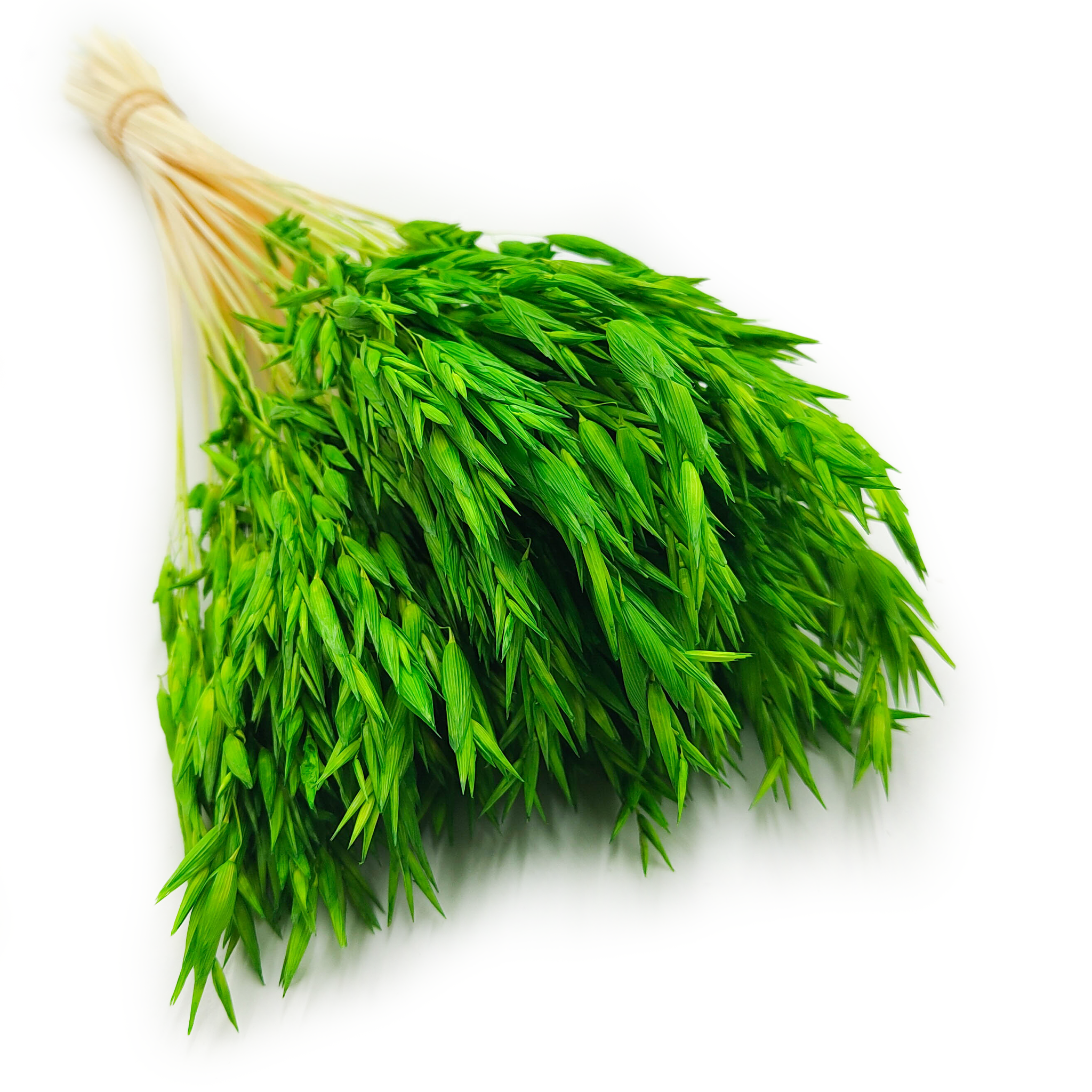 Dried Oats -  Green
