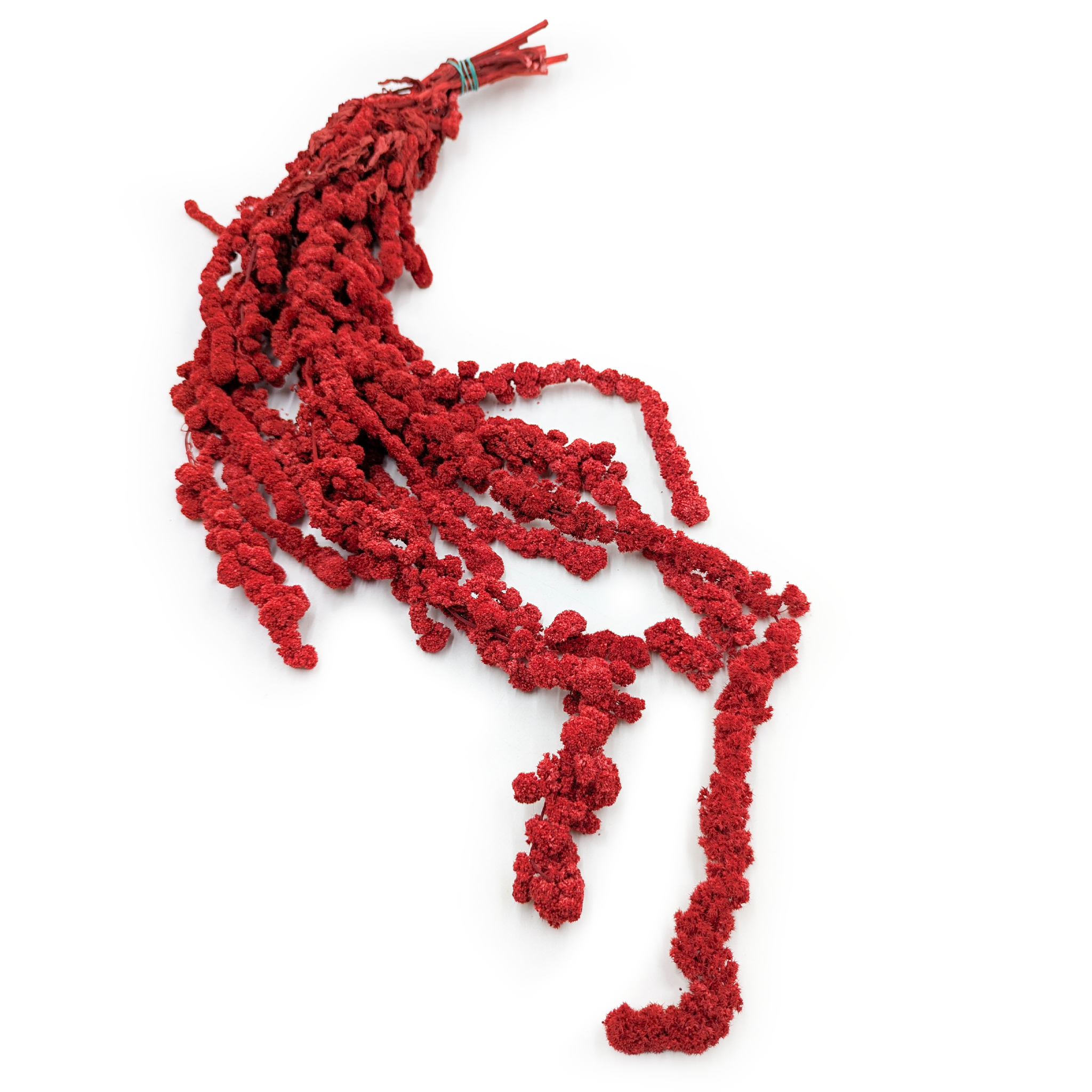 Preserved Amaranthus - Ball Amaranthus  - Red