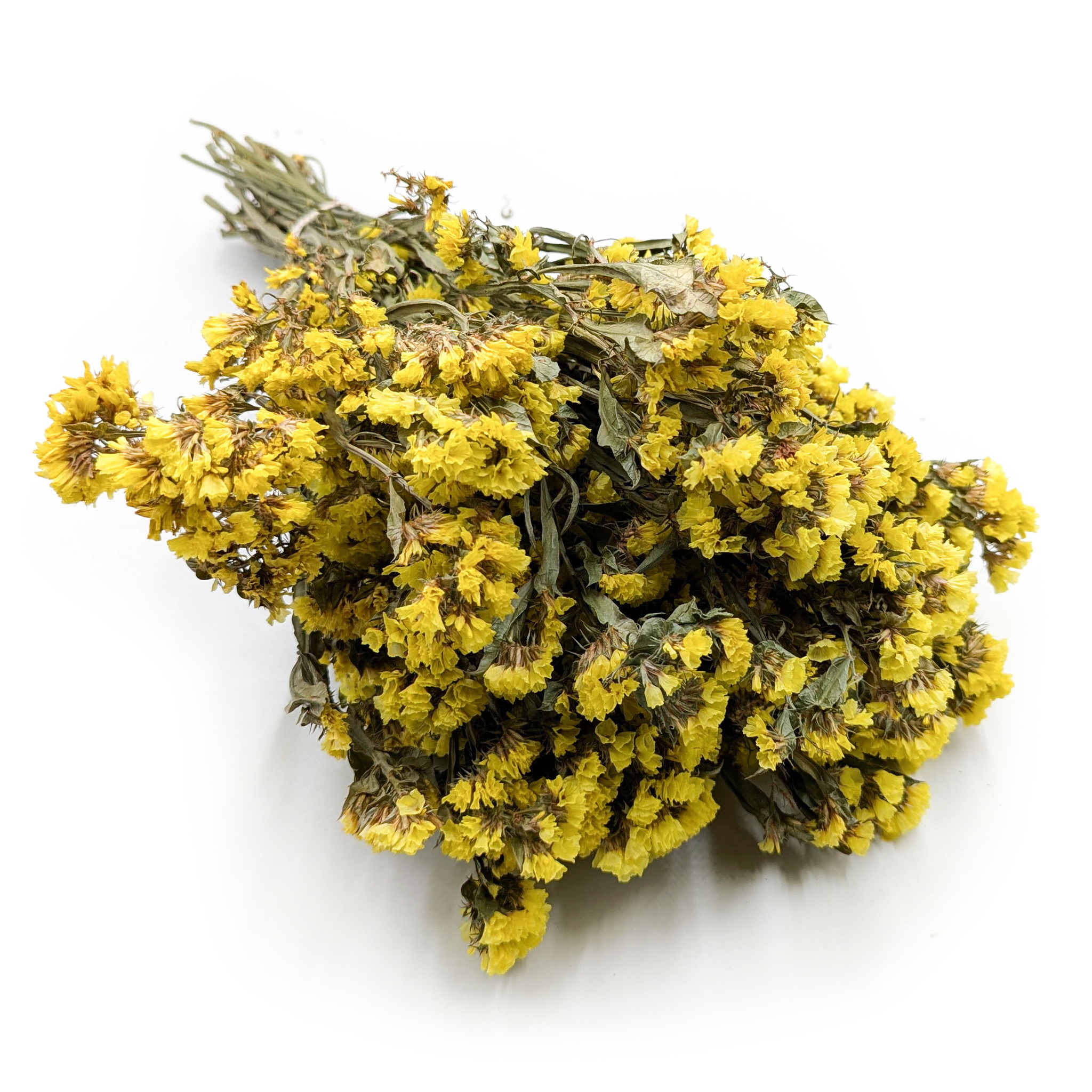 Statice Limonium sinuatum - Yellow