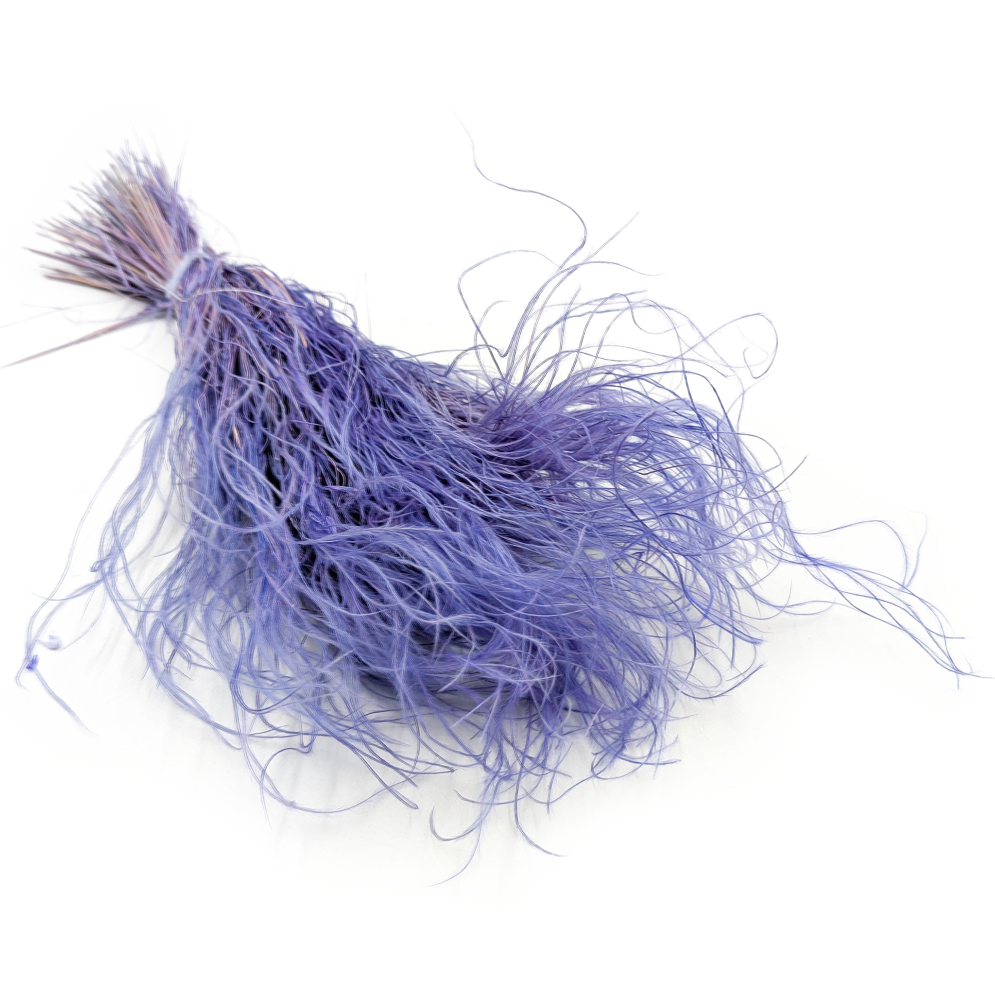 Feather Grass Dried - Stipa pennata - Lavender