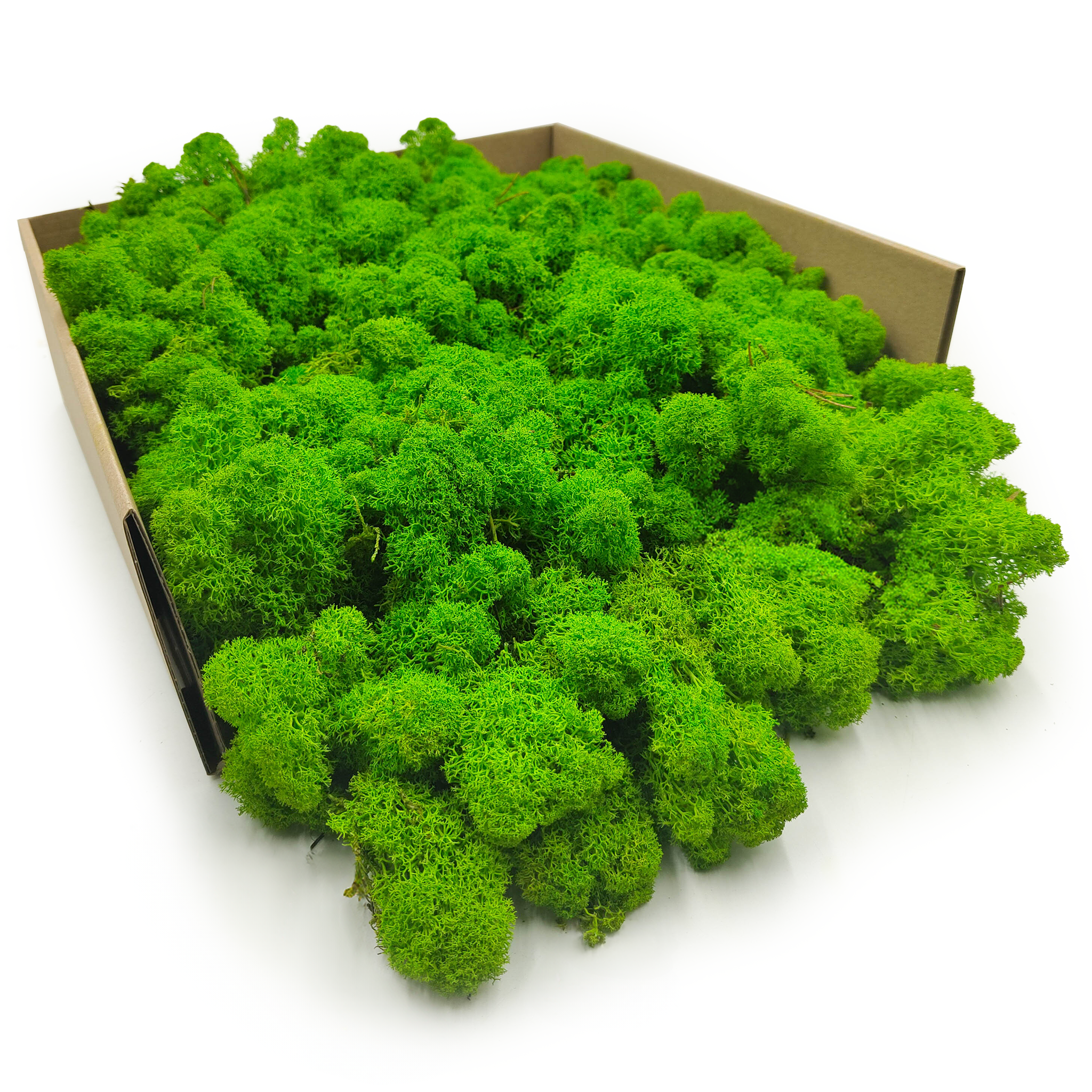 Reindeer Moss – Finnish – Purified – Light Green – 250g NET