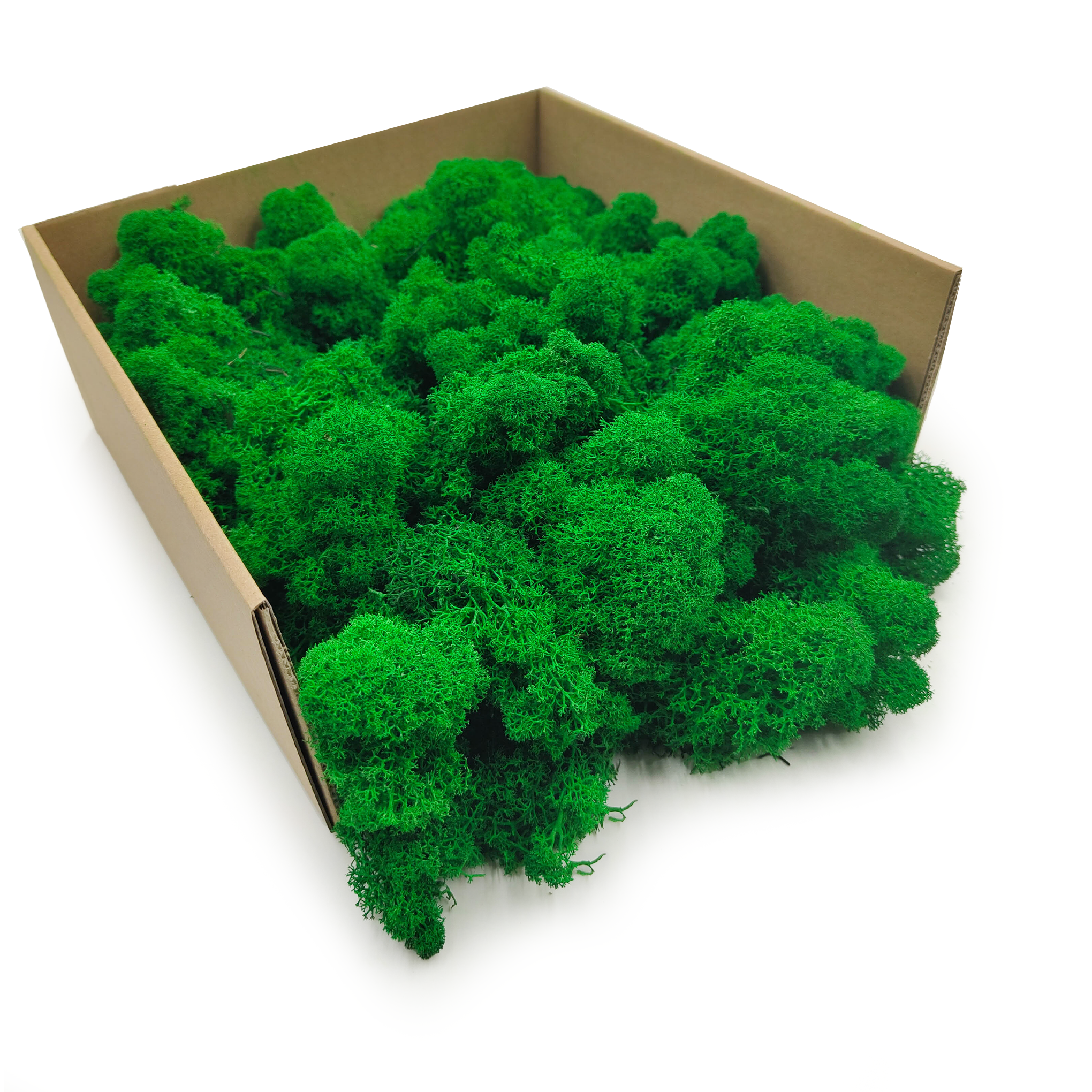 Reindeer Moss – Finnish – Purified – Green – 250g NET