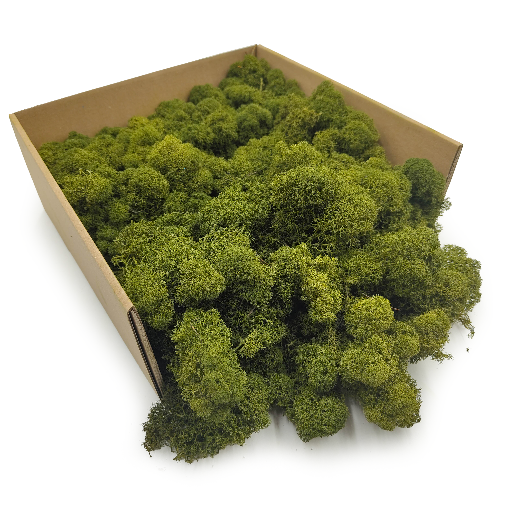 Reindeer Moss – Finnish – Purified – Olive – 250g NET