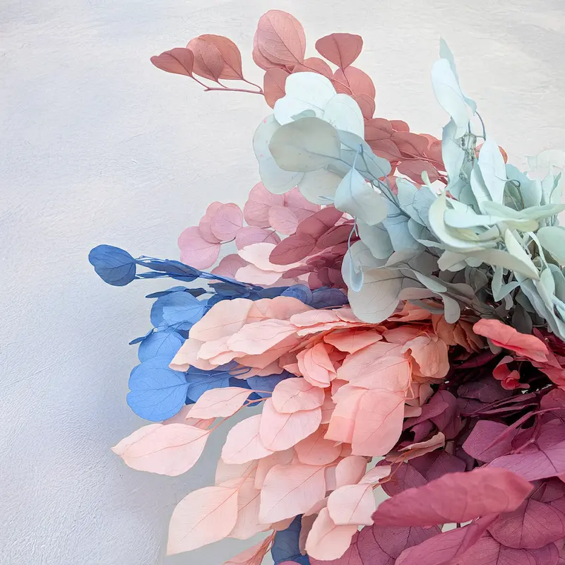 Eucalyptus Populus in pastel colors – the freshness of nature in a spring edition