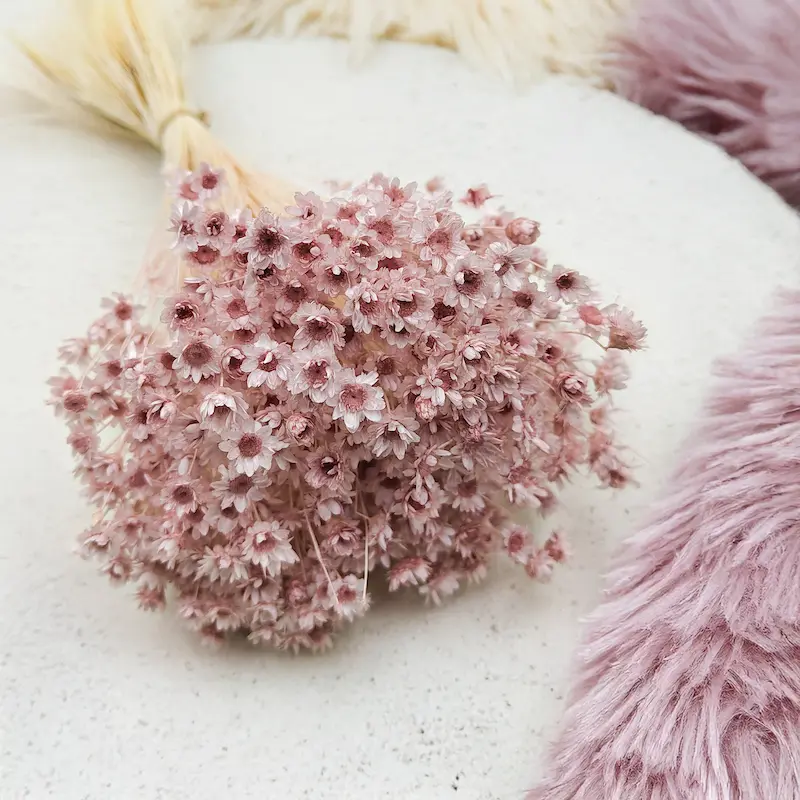 Glixia – delicate dried flowers for subtle decorations