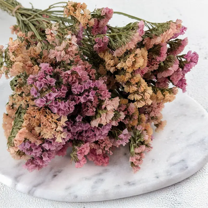 Statice – the flower of August and a classic of dried floristry